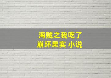 海贼之我吃了崩坏果实 小说